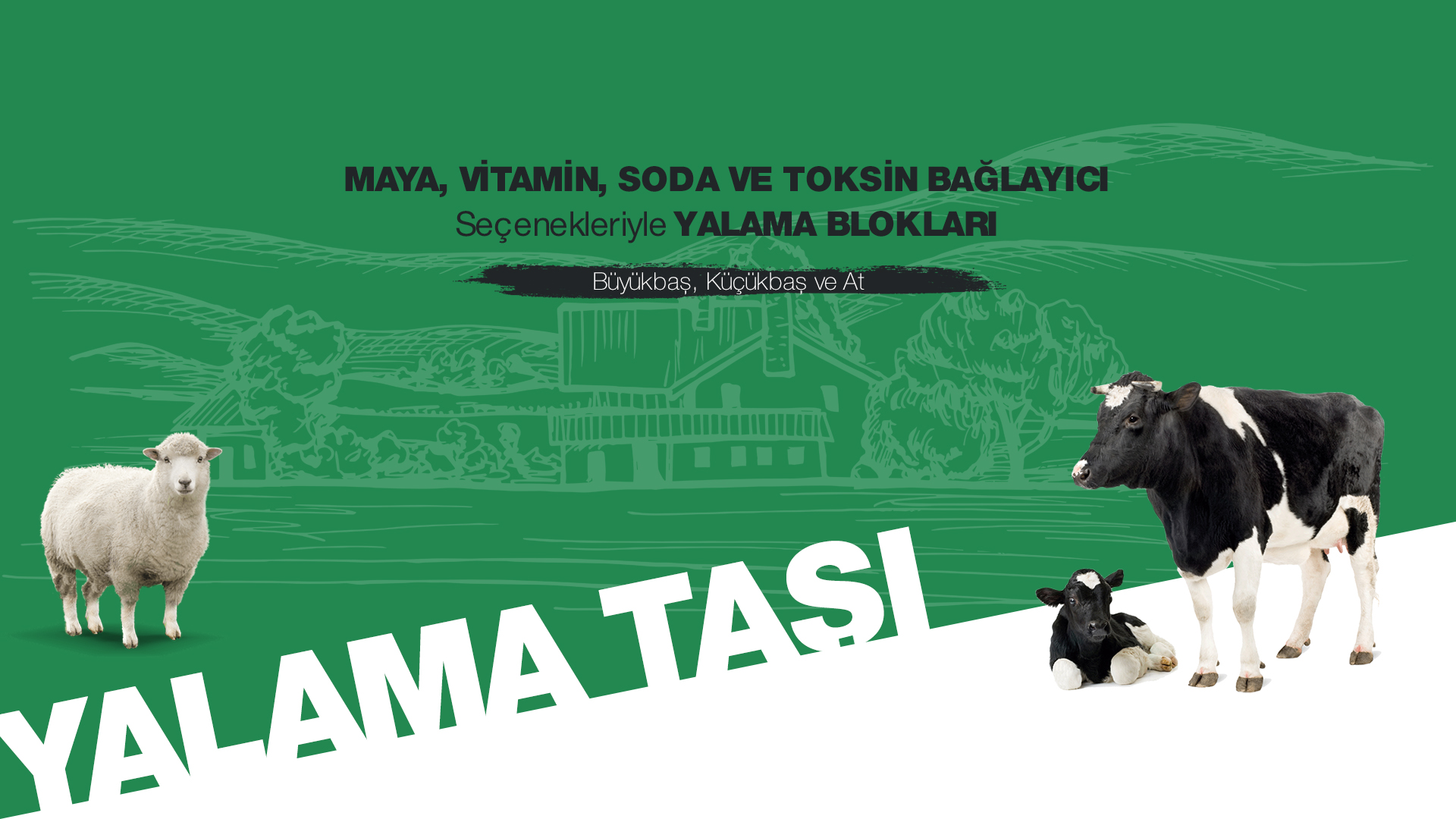 Konvit Akvet